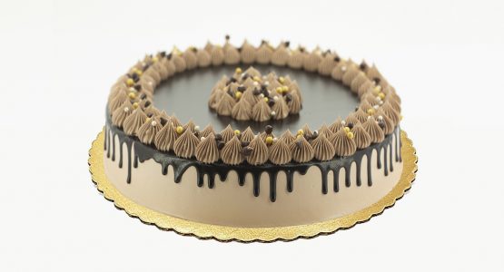 Regular Chocolate Cake 2