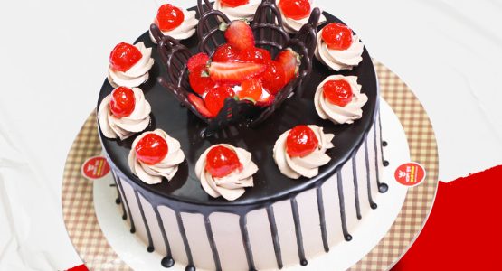 Premium Chocolate Cake