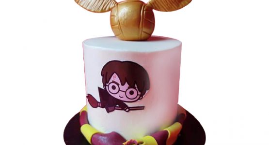 Harry Potter Cake