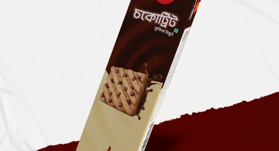 Choco Treat Cookies Biscuit